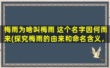 梅雨为啥叫梅雨 这个名字因何而来(探究梅雨的由来和命名含义，解析“梅雨”为何而来)